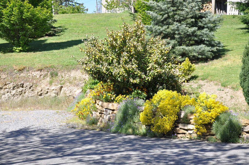 La Bergerie Bed & Breakfast Pollionnay Exterior photo