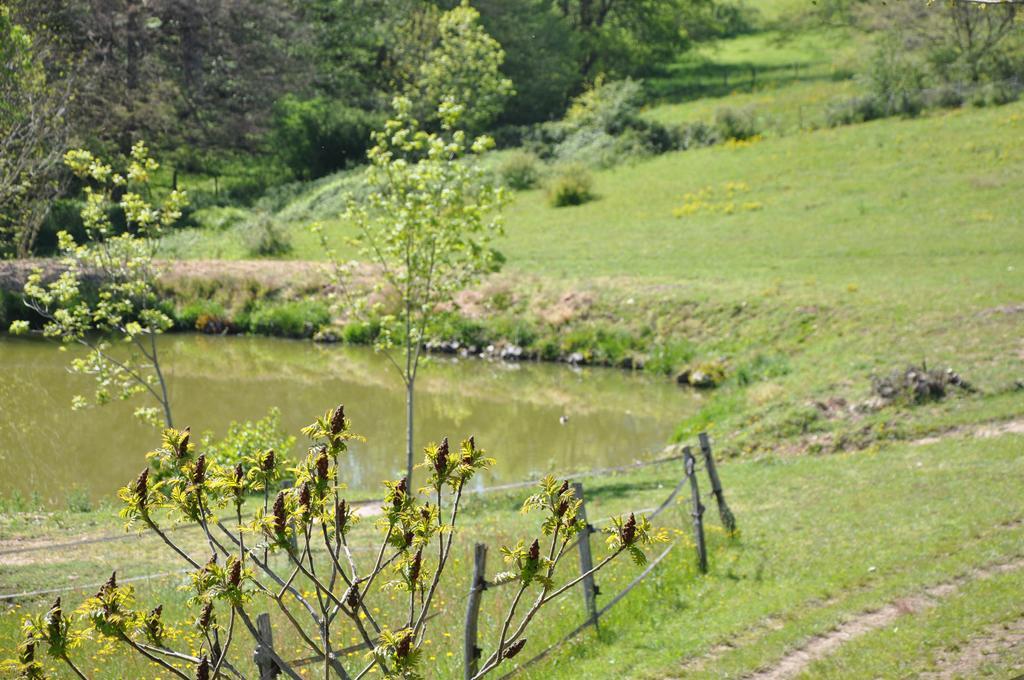 La Bergerie Bed & Breakfast Pollionnay Exterior photo